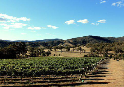 Wimmera Hills Winery