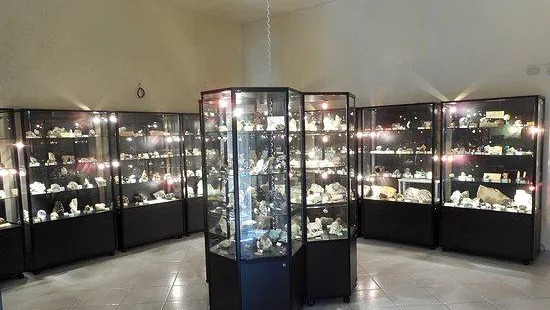 Civic Museum of Natural History in Carmagnola