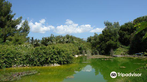 Cephalonia Botanica