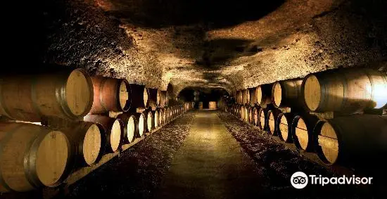 Marc Bredif Vouvray - Wine Cave