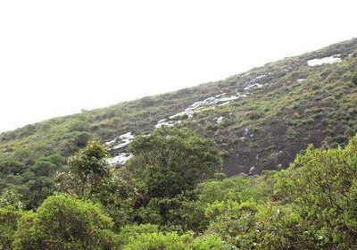 Anamudi Shola National Park