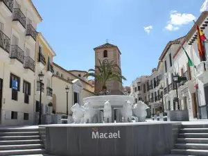 Fuente de los Leones