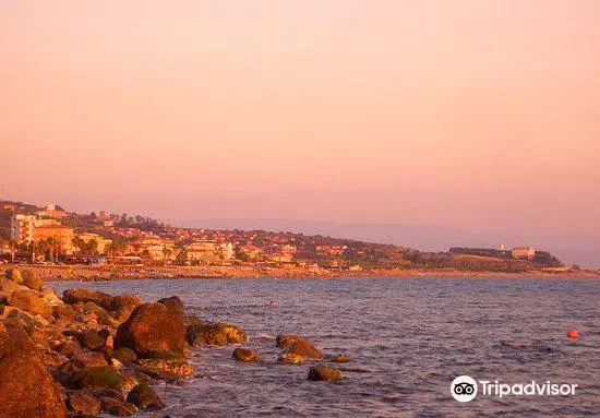 Spiaggia di Falerna