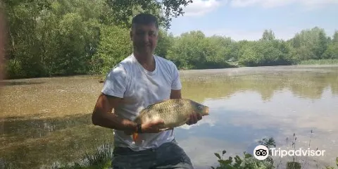 Packington somers fishery