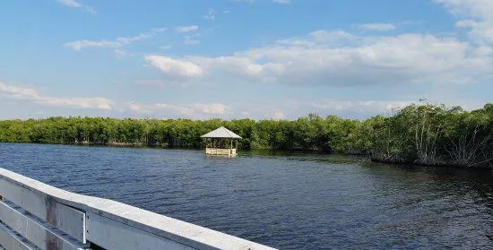 Four Mile Cove Ecological Preserve