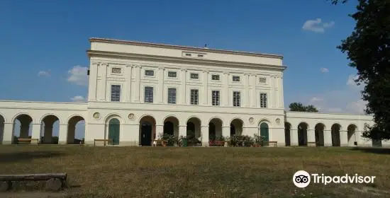 Castle Pohansko