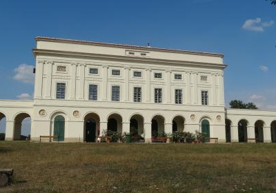 Castle Pohansko