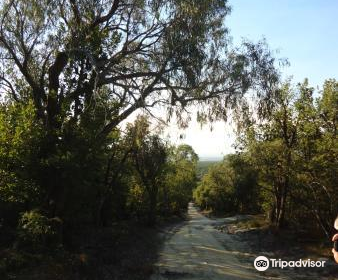 Holey plains state park