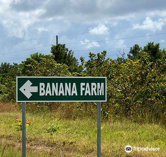 Guandi Temple (Zitong Antique Management Office South)
