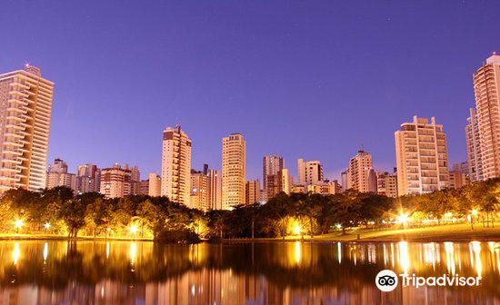 Pisa to Goiania Flights