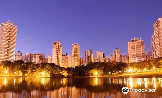 Sofia to Goiania Flights