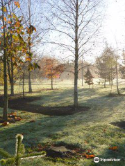 Bluebell Arboretum and Nursery