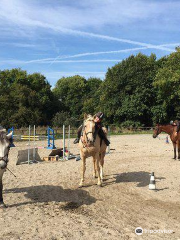 Equestrian Center Bretagne Cancale : Les Douets Fleuris