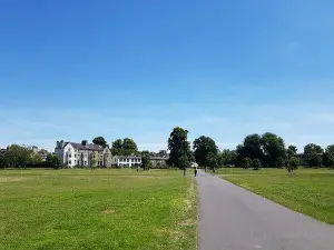 Midsummer Place