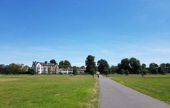 Midsummer Place