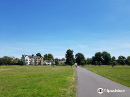 Midsummer Place