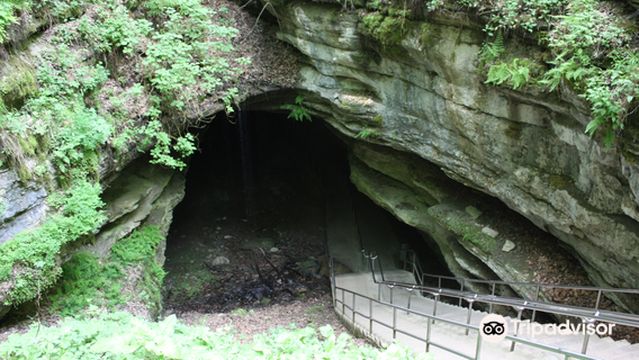 Мамонтова пещера