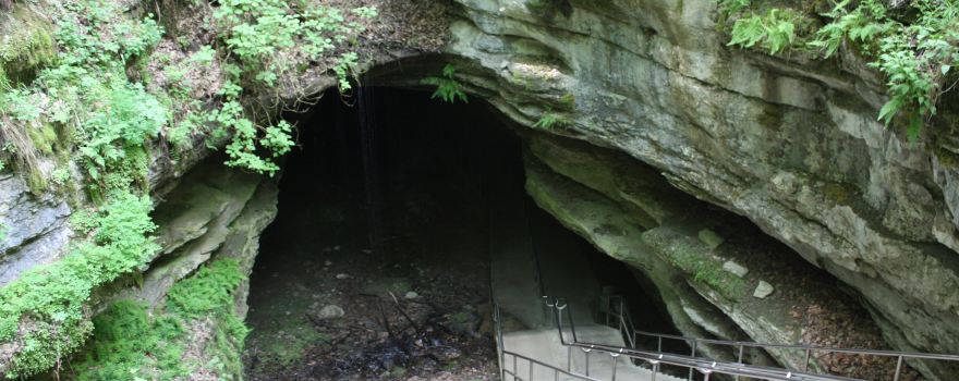 Mammoth Cave National Park