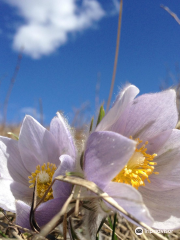 Fish Creek Provincial Park