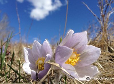Fish Creek Provincial Park