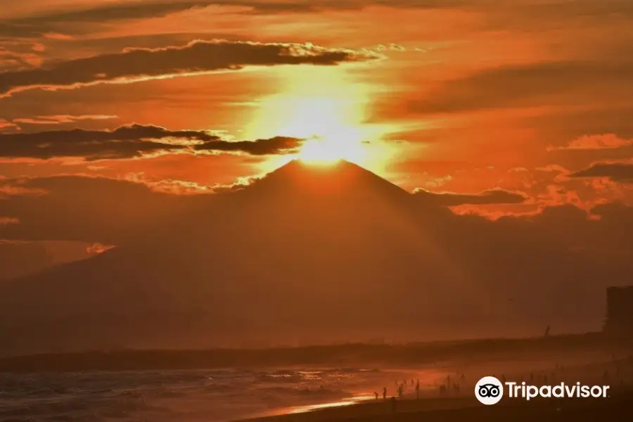 Kanagawa Prefectural Shonan Coast Park