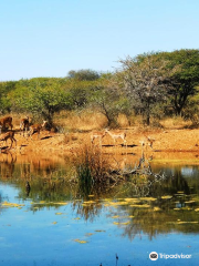 Polokwane Game Reserve