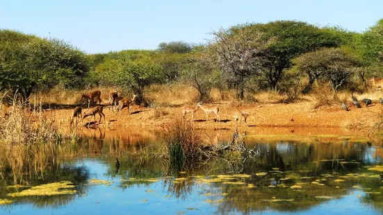 Polokwane Game Reserve