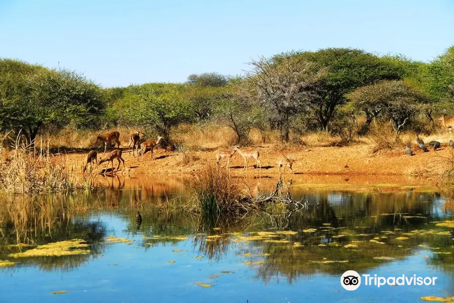 Polokwane Game Reserve