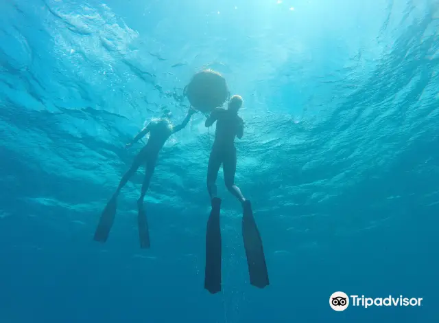 Scuba Diving in Gold Coast