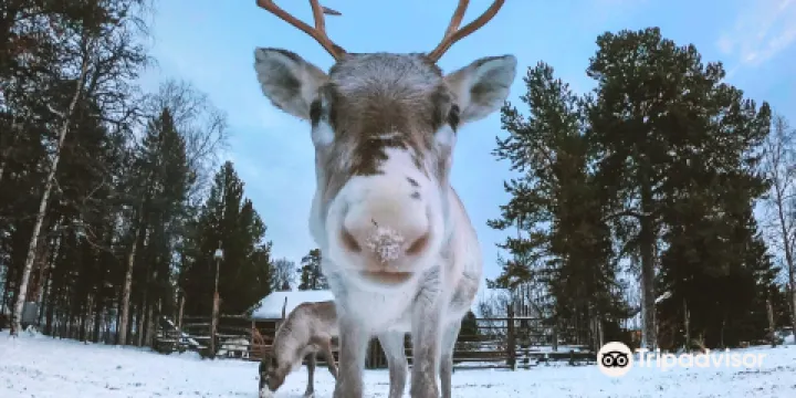 Tuula Airamo （please prebook）