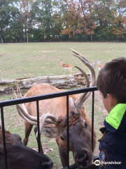 Dutch Creek Farm Animal Park