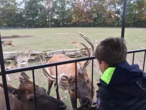 Dutch Creek Farm Animal Park