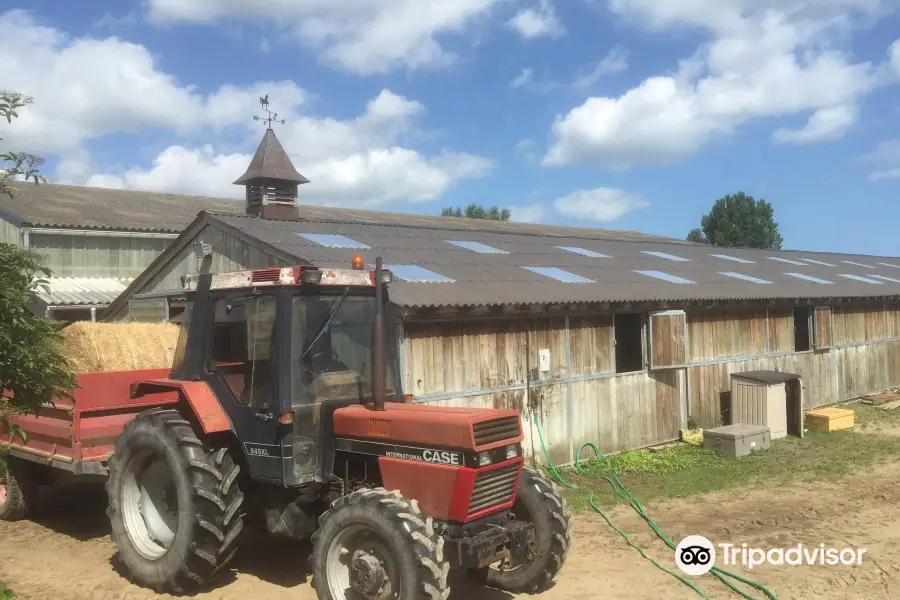 Centre Equestre de Ouistreham