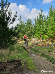 Woodhill Mountain Bike Park