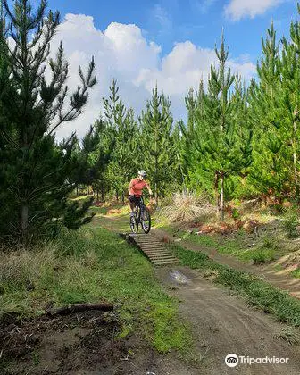 Woodhill Mountain Bike Park