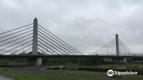 Twin Harp Bridge