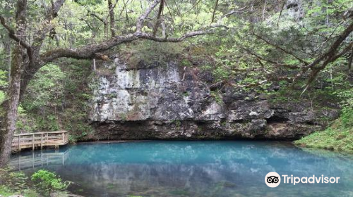 Blue Springs