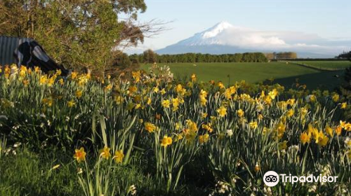 Puketarata Garden