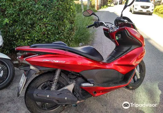 Ploy Motorbike For Rent