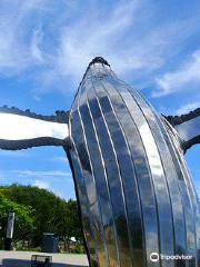 Fraser Coast Discovery Sphere