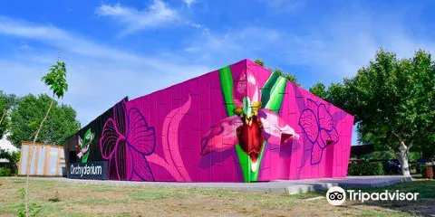 Centro de Interpretacion de la Orquidea Orchydarium