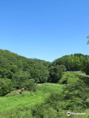 Otaki Valley