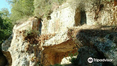 Necropoli Etrusca di Castel d'Asso