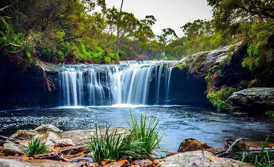 Budderoo National Park
