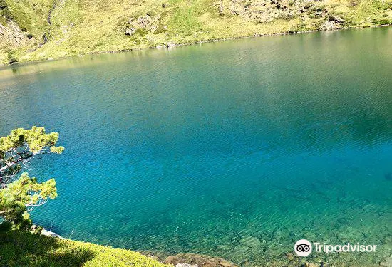 巴利德卡爾多斯