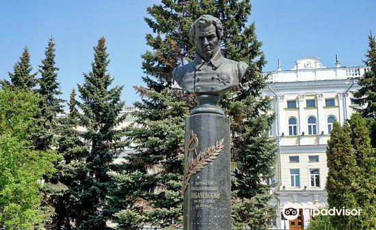 Kazan Federal University