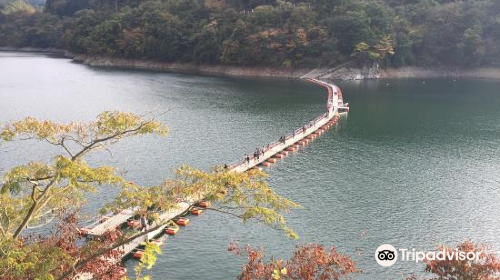Mugiyama Floating Bridge