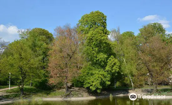 ビルソナ公園