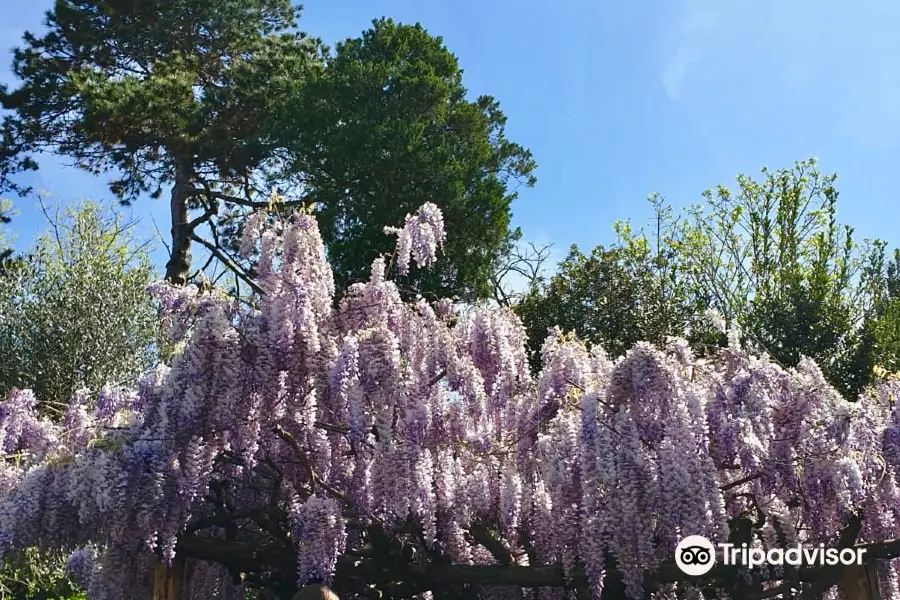 Giardino Giapponese