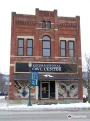 International Owl Center